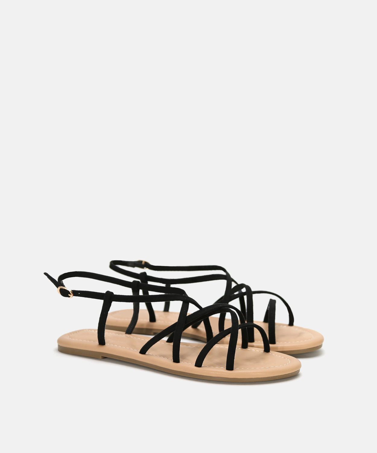 Sand&aacute;lia rasa multitirras image number null